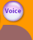 voice